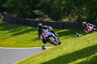 brands-hatch-photographs;brands-no-limits-trackday;cadwell-trackday-photographs;enduro-digital-images;event-digital-images;eventdigitalimages;no-limits-trackdays;peter-wileman-photography;racing-digital-images;trackday-digital-images;trackday-photos